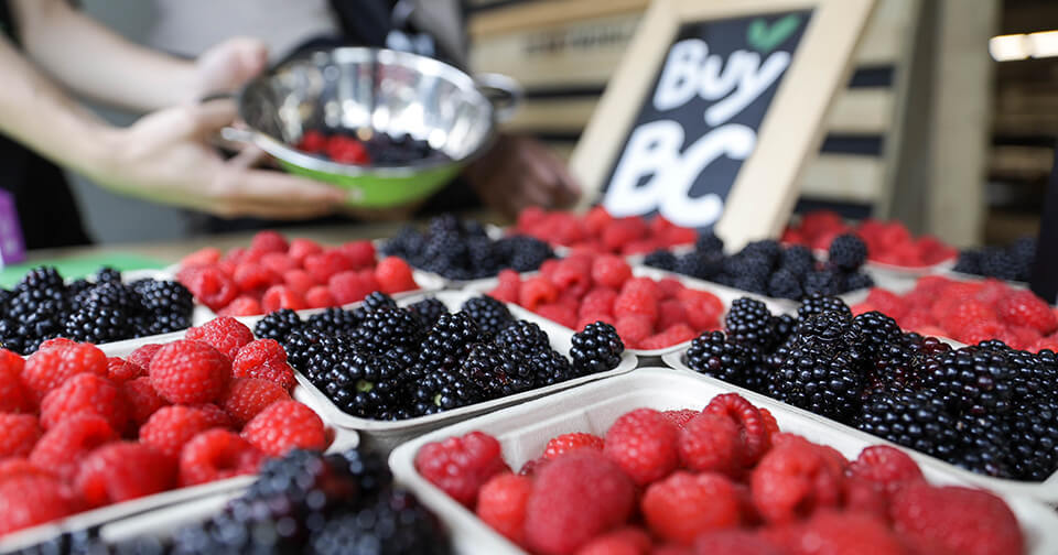 Macro shot of staggered raspberries and blackberries in carton. Buy BC sign in background.