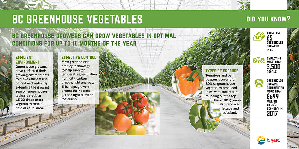Screenshot of BC Greenhouse Vegetables PDF.