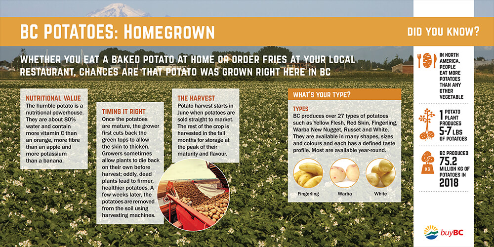 Screenshot of BC Potatoes: Homegrown PDF.