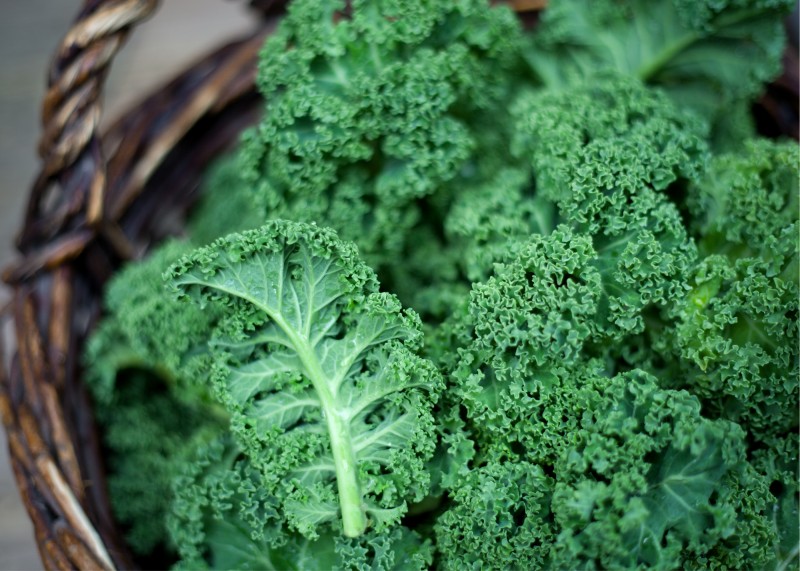 Close up of green kale in a wicker basket.