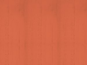 Indigenous Chefs Buy Bc