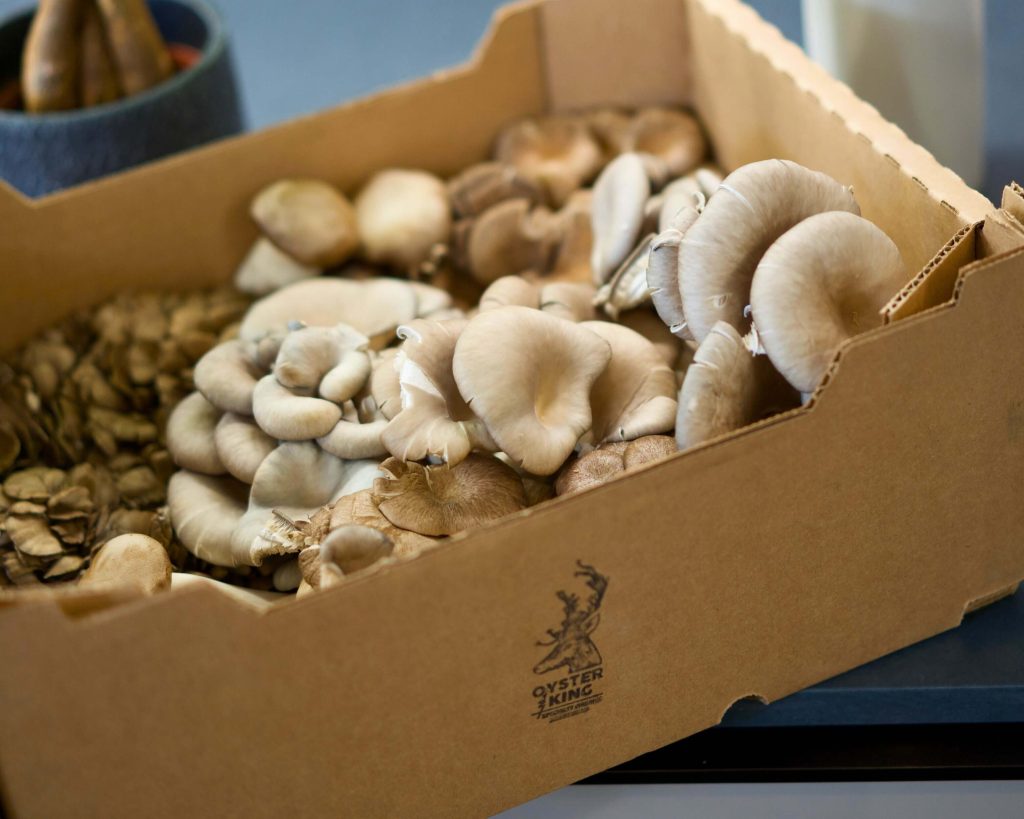 An open box filled with different mushroom varietals grown in B.C. by Oyster & King.